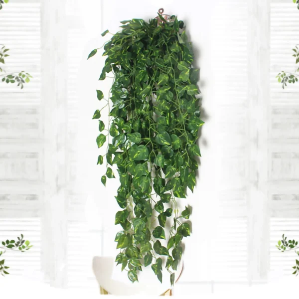 Hanging Plant